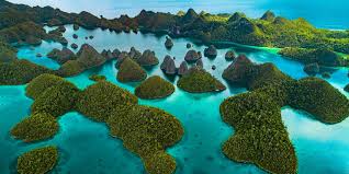 Destinasi Wisata yang Bisa Dikunjungi di Dalam Paket Wisata Raja Ampat