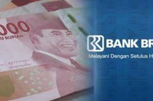 Cara Pinjam Uang 10 juta di Bank BRI