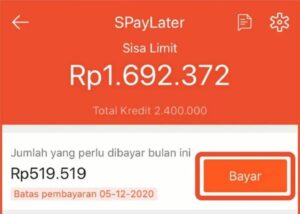 Pengalaman Telat Bayar Shopee Paylater 1 Bulan Wajib diPelajari Pengalaman Telat Bayar Shopee Paylater 1 Bulan Wajib diPelajari