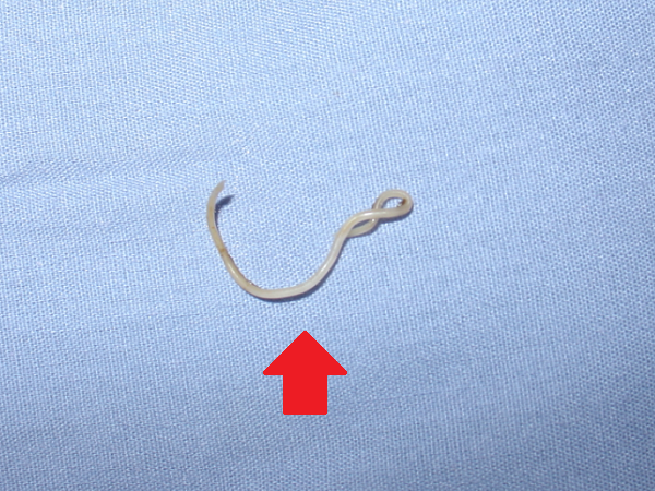 obat kucing cacingan warna putih